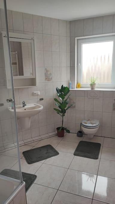 סלה Hehlentor-City Gaeste Wohnung מראה חיצוני תמונה